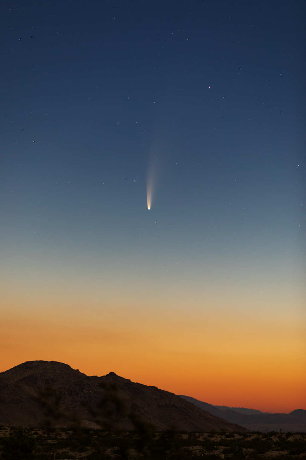 Portrait view of Comet C/2020 F3 (NEOWISE) in the pre-dawn sky over the Mojave Desert (Landers, California). Click the image for a larger version.