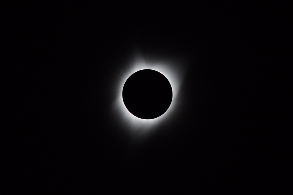 Total Solar Eclipse with Inner Corona and Prominences—August 21, 2017. Taken from Jay Em, Wyoming using a Canon EOS 6D and Takahashi FS-60Q. Click the image for a larger version.